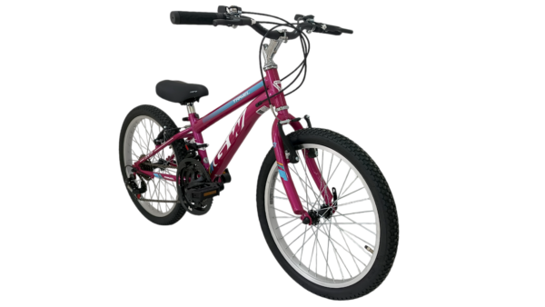 Bicicleta 20 Mtb Travel Gw 6v Fs - Image 3